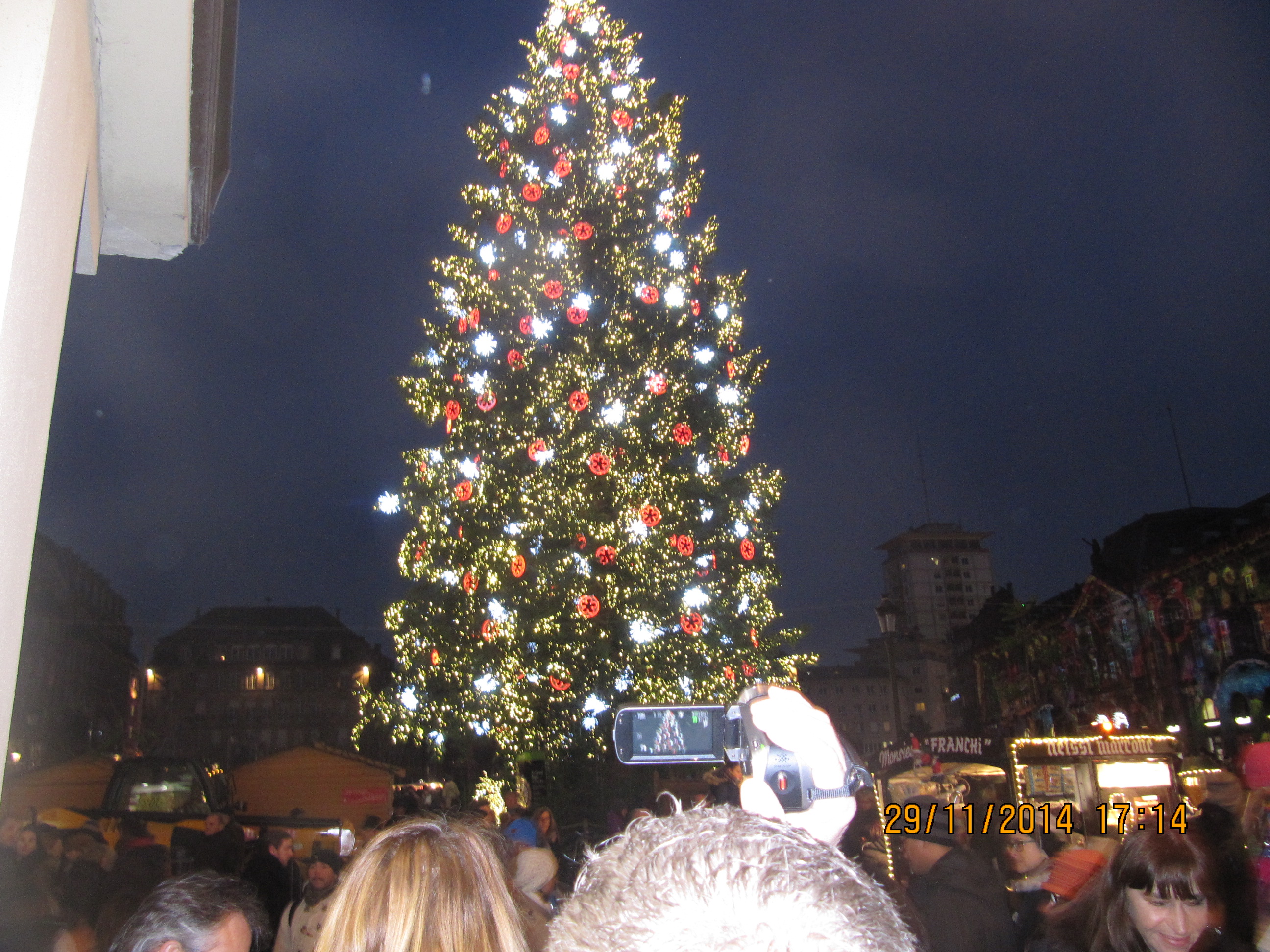 Faites un cadeau à l’environnement !  ( opération sapins de Noël)