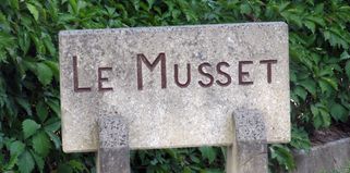 Incivilités et poubelles devant l’entrée du Musset…