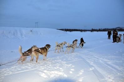 UNE VIRÉE EN LAPONIE FINLANDAISE ……. LE 21 NOVEMBRE – A DEUX PAS DE CHEZ VOUS ?