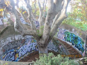 1 IMG_5885