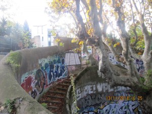 2 IMG_5886