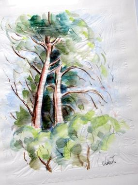 EXPOSITION  des aquarelles de Jacky CHABERT du 8 au 27 février  en Mairie Annexe Pont de Béraud