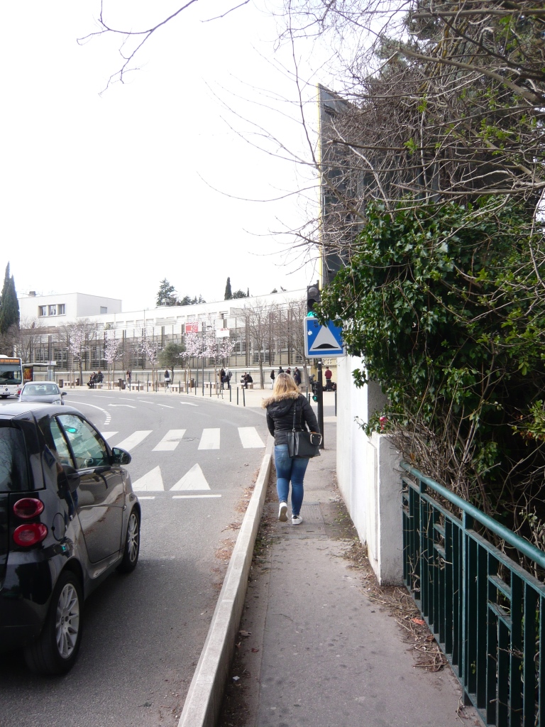 MULTIPLICATION DES PANNEAUX DE SIGNALISATION, celui-là un peu bas……