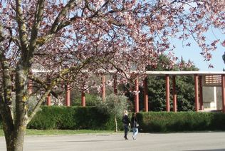 Rencontre du Président de notre CIQ avec le Proviseur du Lycée Cézanne,