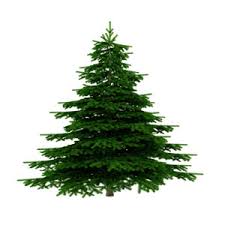 OFFREZ UNE NOUVELLE VIE A VOTRE SAPIN – POINT DE COLLECTE