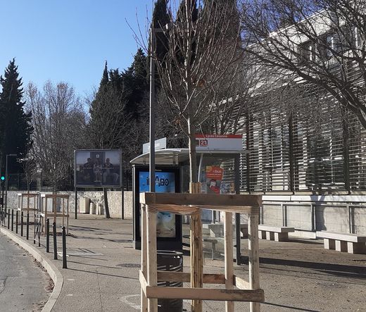 BIENTÔT UN COURS  » À L’AIXOISE  » DEVANT LE LYCÉE CÉZANNE ?