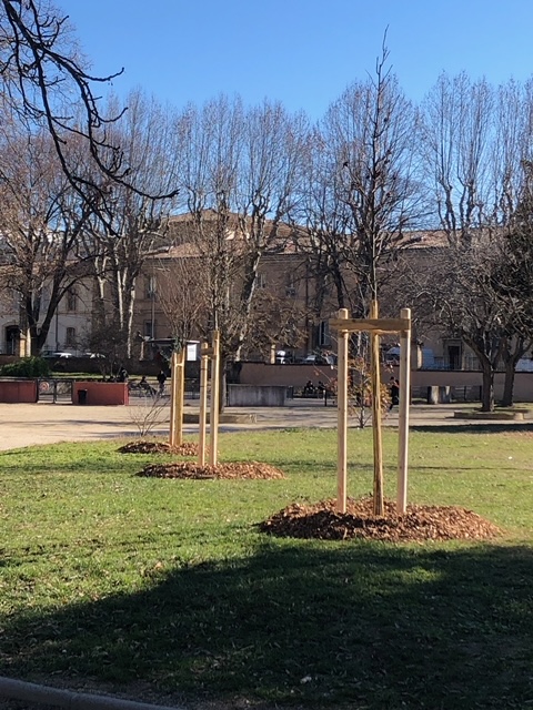 LE PARC RAMBOT REPREND DES COULEURS