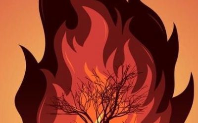 PREVENTION DES RISQUES INCENDIE – Réunion 9 mai Mairie annexe