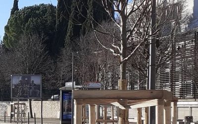ARBRES SECS