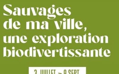 EXPO OFFICE TOURISME