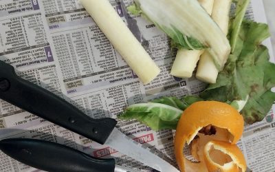 BIODÉCHETS, COMPOST ET VALORISATION