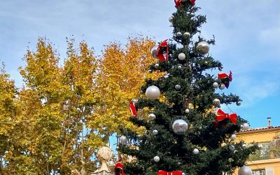 MARCHES DE NOEL DU QUARTIER . DE LA VALLEE. ET DE LA VILLE