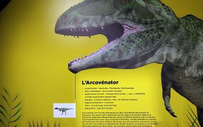 DINOSAURES  EXPOSITION