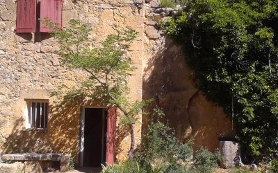 ANNÉE CEZANNE 2025 ET ACCÈS AU PLATEAU DE BIBÉMUS ( suite )