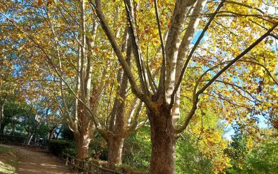 À LA DÉCOUVERTE DE LA BIODIVERSITÉ AIXOISE AVEC LE MUSEUM D&rsquo;HISTOIRE NATURELLE