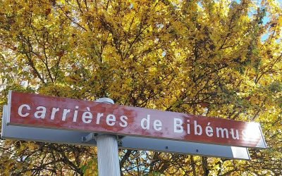ANNÉE CEZANNE 2025 À BIBÉMUS ?     VRAIMENT ?