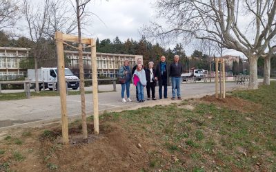 DES ARBRES POUR ROHAN ET JEAN-PIERRE