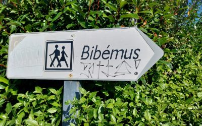 UN APRÈS-MIDI SUR LE PLATEAU DE BIBÉMUS