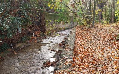 NOUVELLES PROPOSITIONS POUR LE LAVOIR ET ALENTOURS