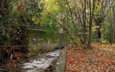 ÎLOTS DE FRAÎCHEUR ET ACCÈS À LA NATURE