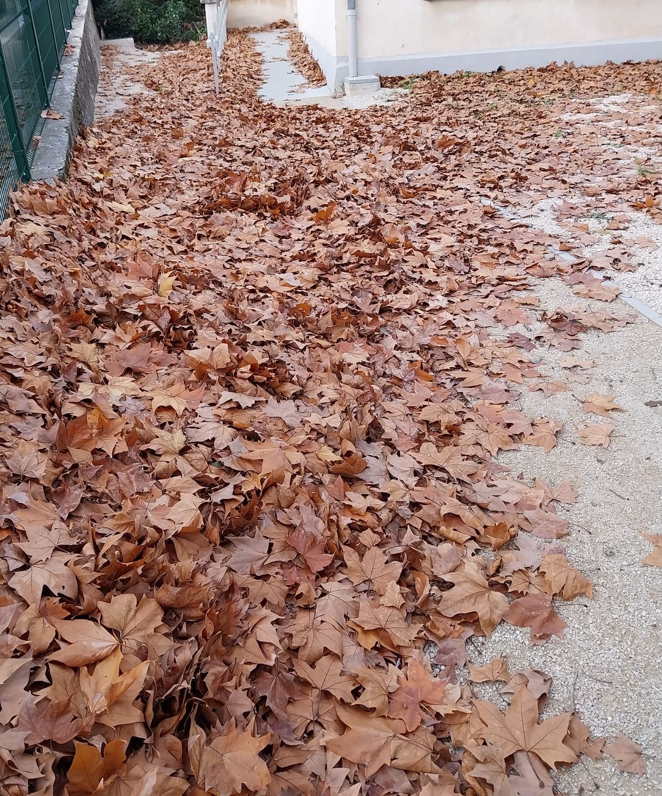 WhatsApp Image 2025-11-19 à 17.24.50_fd4e9bff