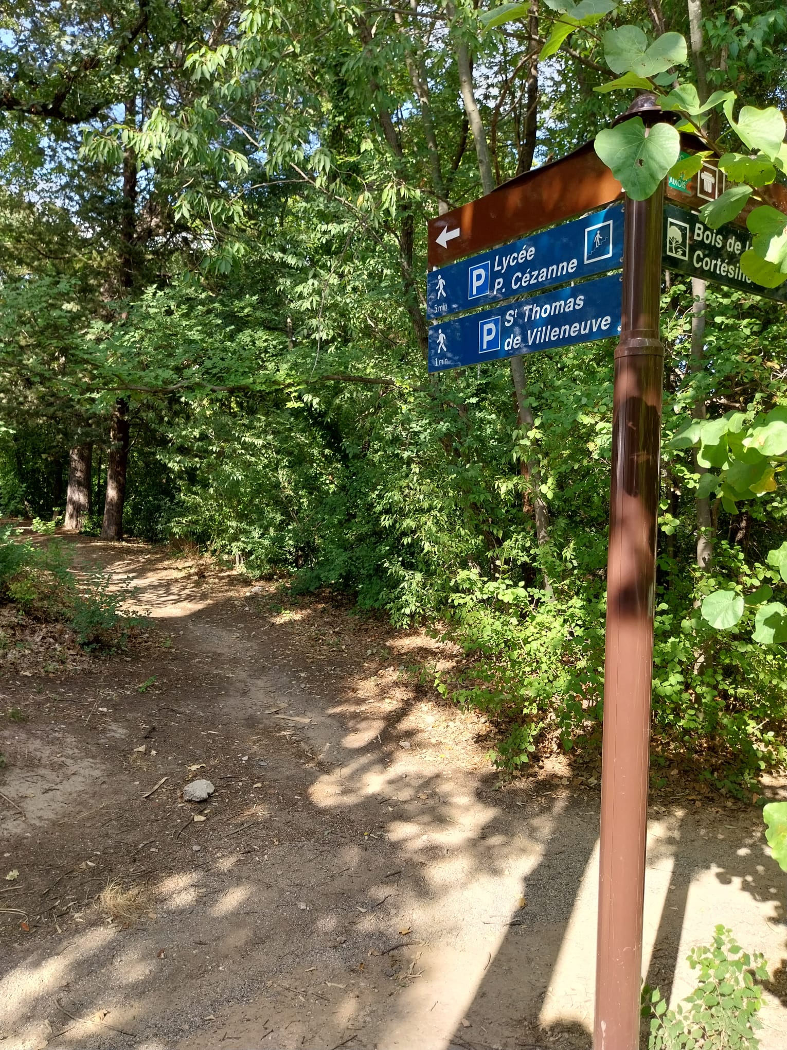 20260807 Bois Cortésine – sentier