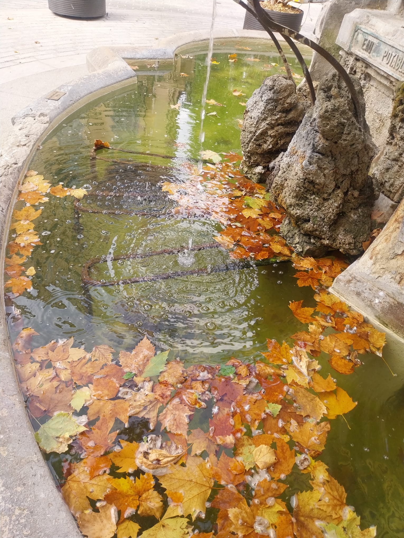 Fontaine