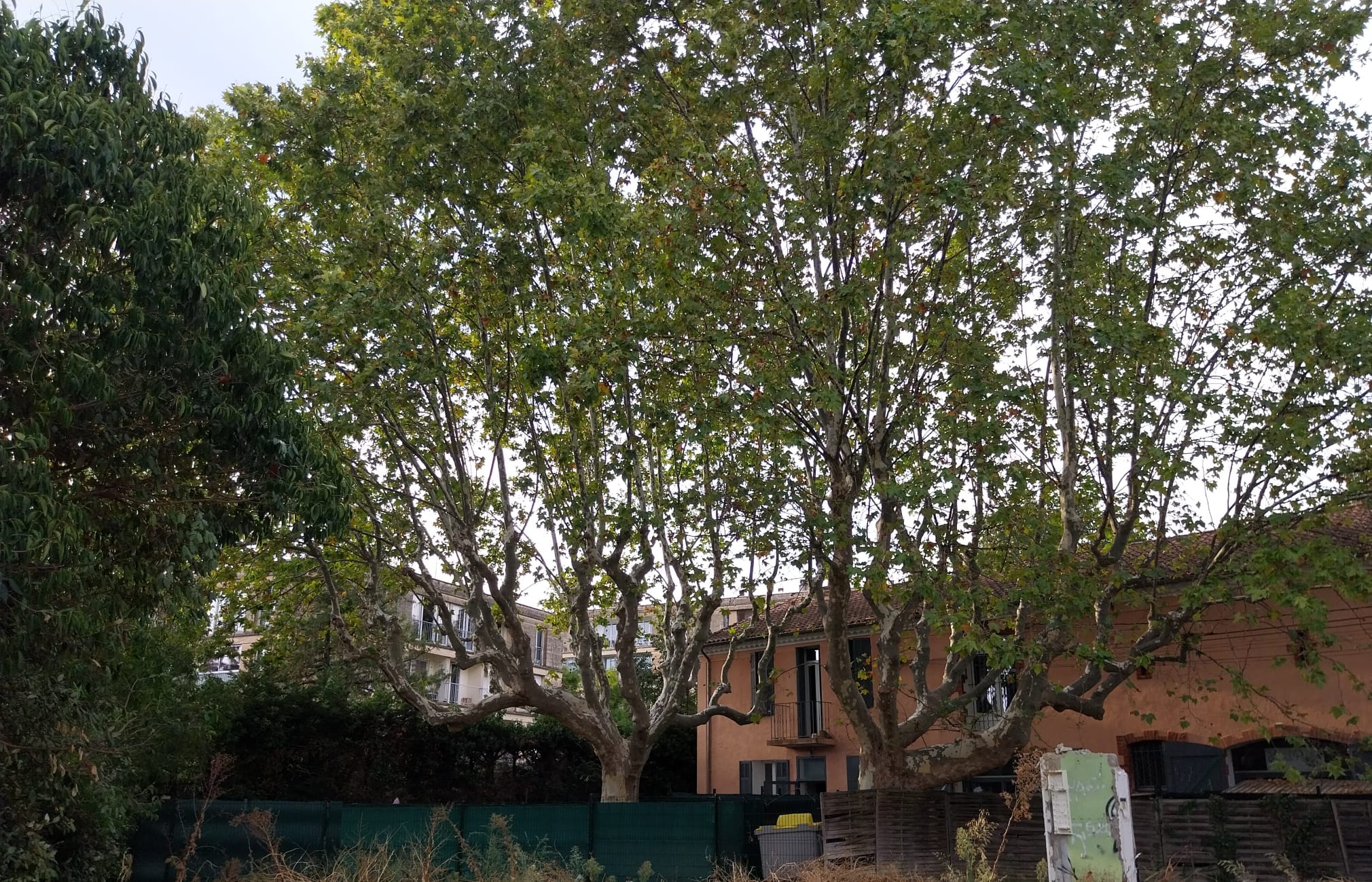 école Montessori